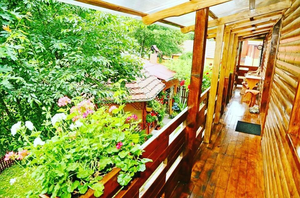 Hotel Casa Bunicii à Costeşti Extérieur photo